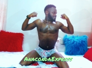 AnacondaExpress