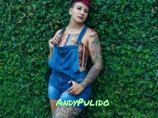 AndyPulido