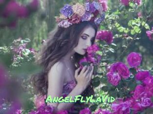 AngelFlyLaVid