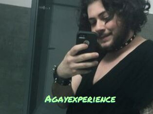 Agayexperience