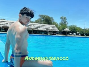 Andrewdibracco