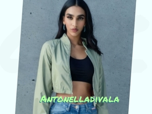 Antonelladivala