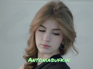 Antoniabufkin