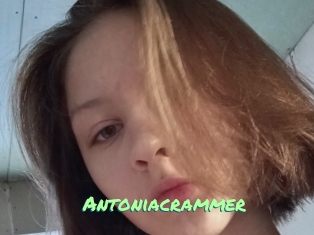 Antoniacrammer