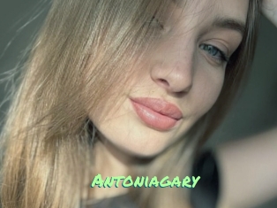 Antoniagary