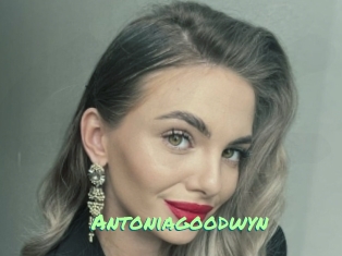 Antoniagoodwyn