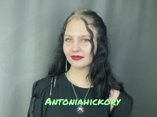 Antoniahickory