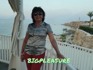 BIGPLEASURE