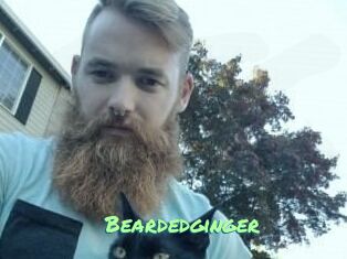 Beardedginger