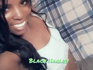 Black_Harley