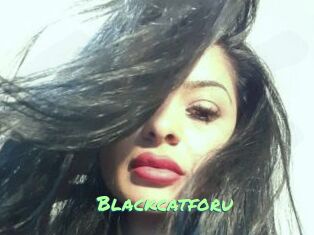 Blackcatforu