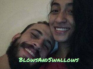 BlowsAndSwallows