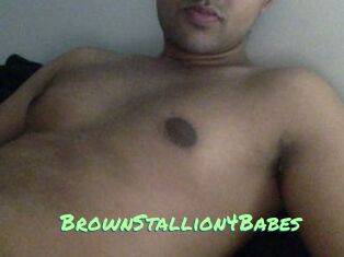 BrownStallion4Babes