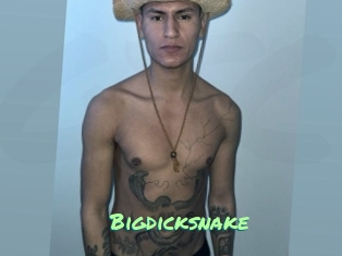 Bigdicksnake