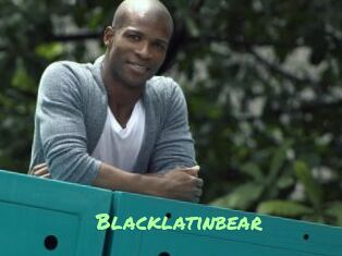 Blacklatinbear