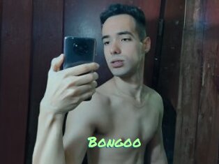 Bongoo