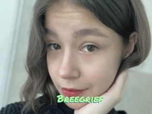 Breegrief