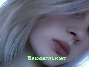 Bridgetalkins