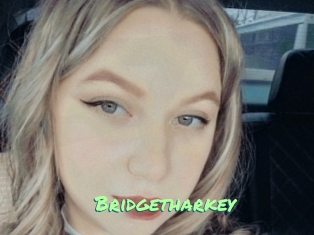 Bridgetharkey