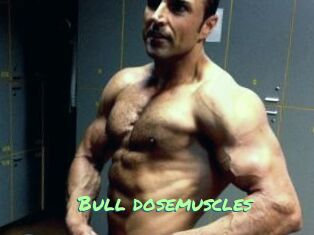 Bull_dosemuscles