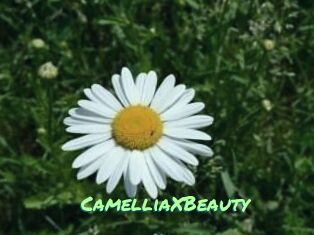 Camellia_XBeauty