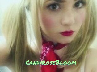 CandyRoseBloom