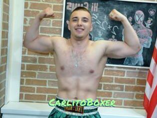 CarlitoBoxer