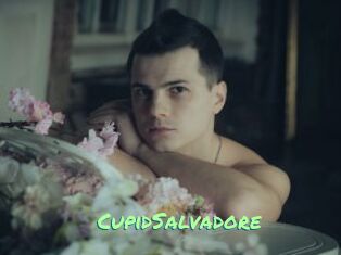 CupidSalvadore