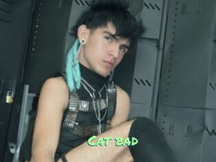 Cat_bad
