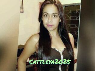 Cattleya2025