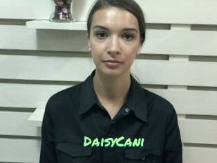 DaisyCani