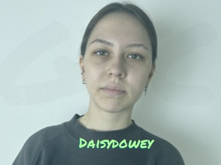 Daisydowey