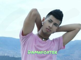Damnfoxter