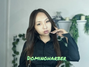 Dominoharber