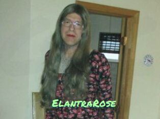 Elantra_Rose