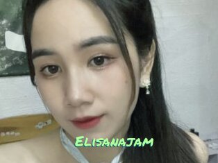 Elisanajam