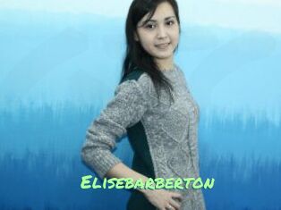 Elisebarberton