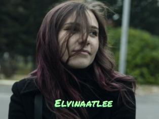 Elvinaatlee