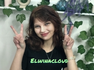 Elwinacloud