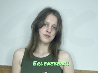 Erlenebeech