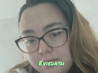 Eviedash