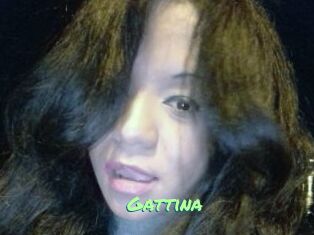 Gattina