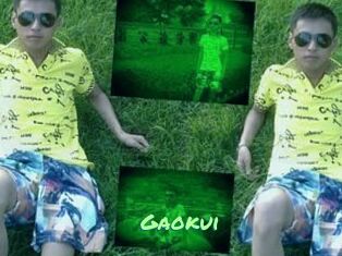 Gaokui