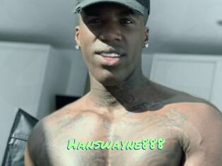Hanswayne888