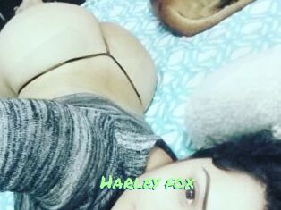 Harley_fox