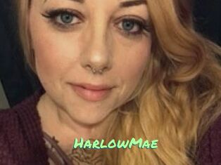 HarlowMae