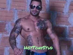 HotTonyStud