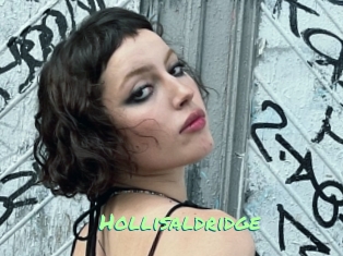 Hollisaldridge