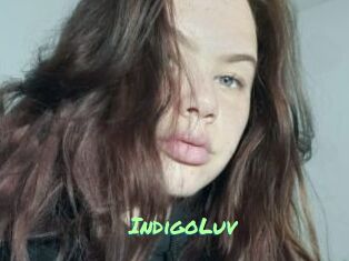 IndigoLuv