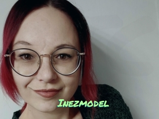 Inezmodel